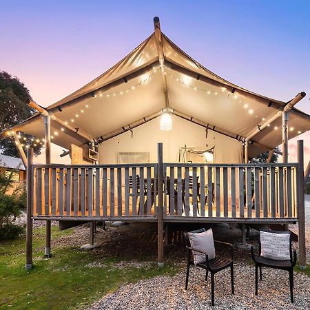 Scamander Sanctuary Holiday Park Exterior foto